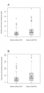 Figure tirée de Larrat, Sylvain, Francis Bouchard, Guylaine Séguin, and Stéphane Lair. 2013. “Relationship between Red Vent Syndrome and Anisakid Larvae Burden in Wild Atlantic Salmon (salmo Salar).” Journal of Wildlife Diseases 49 (2): 229–234.