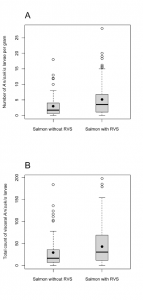 Figure tirée de Larrat, Sylvain, Francis Bouchard, Guylaine Séguin, and Stéphane Lair. 2013. “Relationship between Red Vent Syndrome and Anisakid Larvae Burden in Wild Atlantic Salmon (salmo Salar).” Journal of Wildlife Diseases 49 (2): 229–234. 